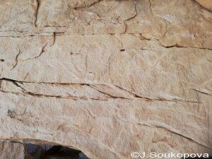 Aman Samednin_VII_17