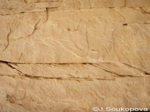 Aman Samednin_VII_19