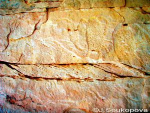 Aman Samednin_VII_20