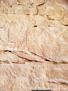 Aman Samednin_VII_21