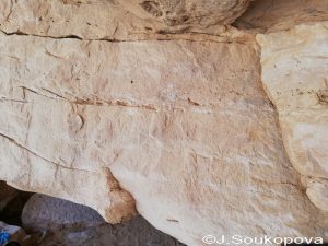 Aman Samednin_VII_23