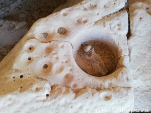 Aman Samednin_VII_38