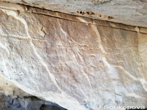 Aman Samednin_VII_41