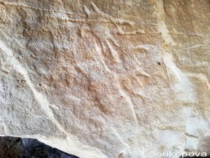 Aman Samednin_VII_43