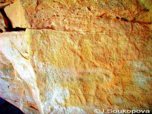 Aman Samednin_VII_55