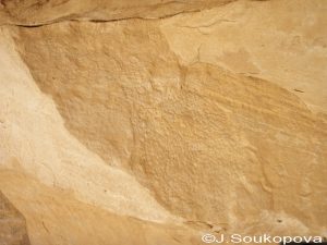 Aman Samednin_VII_56