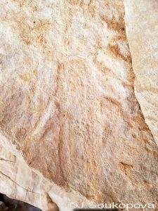 Aman Samednin_VII_58