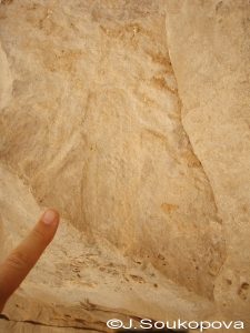 Aman Samednin_VII_60