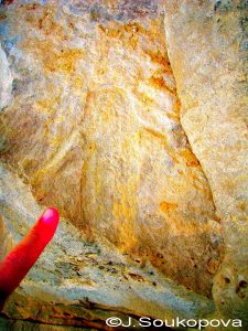 Aman Samednin_VII_61