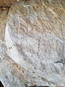 Aman Samednin_VII_64