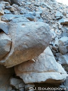 Aman Samednin_VII_74