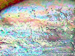 Iberdj_II_14