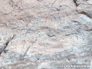 Iberdj_II_19