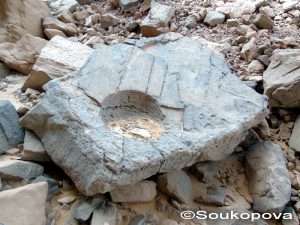 Iberdj_II_26
