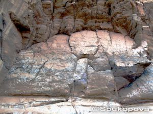Iberdj_II_5