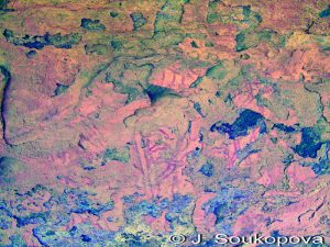 Wadi Tin Uded VI_7