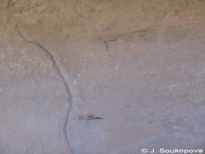 Wadi Tin Uded IV_21