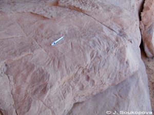 Wadi Tin Uded IV_34