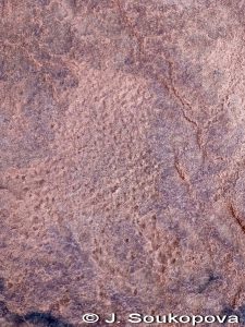 Wadi Tin Uded VII_19
